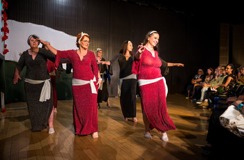 Mak v polju <em>Foto: Saša Huzjak</em>