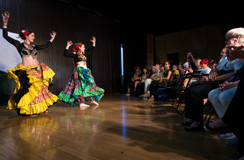 Mak v polju <em>Foto: Saša Huzjak</em>