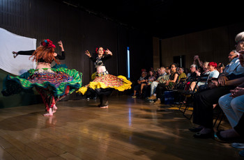 Mak v polju <em>Foto: Saša Huzjak</em>