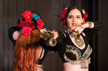 Mak v polju <em>Foto: Saša Huzjak</em>