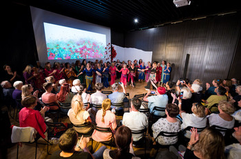 Mak v polju <em>Foto: Saša Huzjak</em>