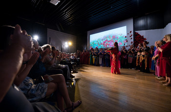 Mak v polju <em>Foto: Saša Huzjak</em>