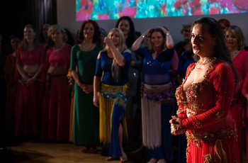 Mak v polju <em>Foto: Saša Huzjak</em>