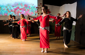 Mak v polju <em>Foto: Saša Huzjak</em>