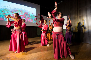 Mak v polju <em>Foto: Saša Huzjak</em>