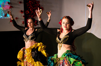 Mak v polju <em>Foto: Saša Huzjak</em>