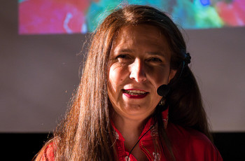 Mak v polju <em>Foto: Saša Huzjak</em>